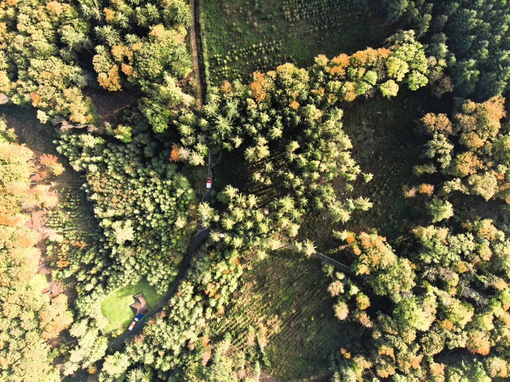 Einsatz im Wald. Die Feuerwehr-Drohne beobachtet die Einsatzstelle von oben.